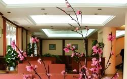 Hotel Ristorante Al Boschetto