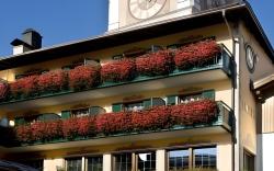 Hotel Cavallino D'Oro Bed&Breakfast