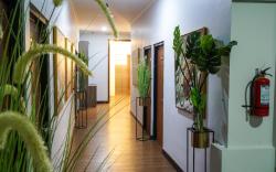 Denz Express Bintaro