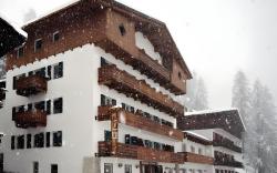 Hotel Des Alpes