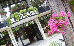 Hotel Baby B&B