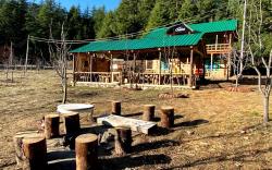 The Last Chalet Shangarh