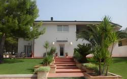 B&B Nacore