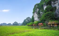 Lotus Field Homestay