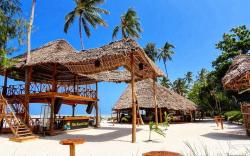 Palm Tree Resort Bwejuu