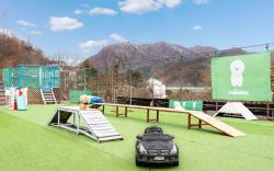 Chuncheon Dogandstay