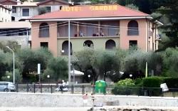 Hotel Garden