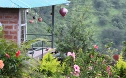 Gurusparsh Resort