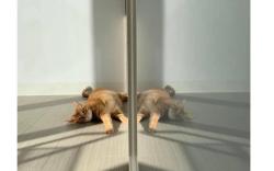 台南市的2臥室獨棟住宅 - 55平方公尺/2間專用衛浴