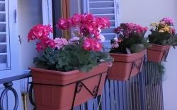 Chez Moi B&B