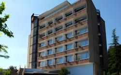 Hotel Michelangelo