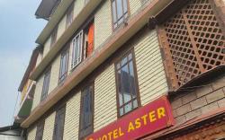 hotel aster