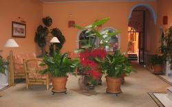 Patio de La Alameda