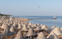 Parrotel Beach Resort