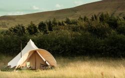 Become Wild, Edale