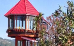 The Chalets Naldehra