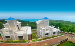 The Blue View By Timber