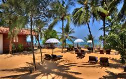 ArugamBay PodBay
