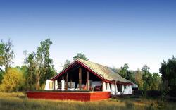 Monsoon Forest Bandhavgarh