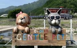 mungyeong aegyeondongban gramping gentlepet paradise