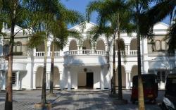 Bougain Villa