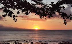 Glamping Family  Dome @ Dauin Marine Sanctuary