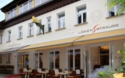 Alpin Lifestyle Hotel Lowen & Strauss
