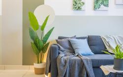 Gorgeous Green Home Near Velocity in KL City 