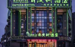 Vatica Xuzhou High Speed Railway Station Hotel