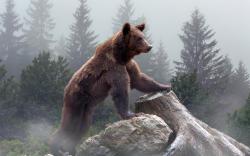 Omeo Suite - Big Bear