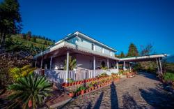 Eco Adventure Resorts The Temi Bungalow