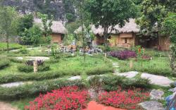 Trang an river view homestay