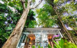 Rain Forest Resort Phitsanulok