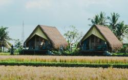 Cabin Benih - beautiful ricefield view!