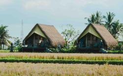 Cabin Lumbung - beautiful ricefield view!