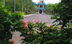 Paradise Forest Resort