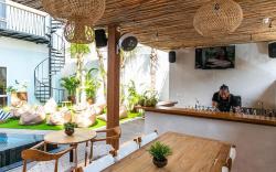 Coco & Pineapple Pants Hostel