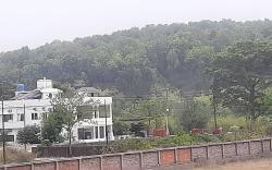 The Bird Dehradun