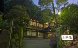 Gensen Uenoya Hot Spring Ryokan