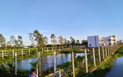 SDD ROYAL BENGAL RESORT 