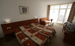Hotel Fenix