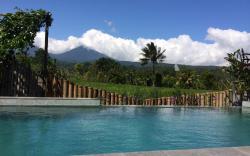 The Champuhan - Honeymoon Villa Rice Field View