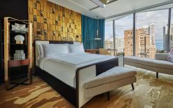 Viceroy Chicago