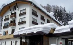Nozawa Onsen Nozawa Grand Hotel