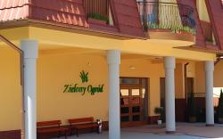 Zielony Ogrod