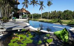 Coco verde bali