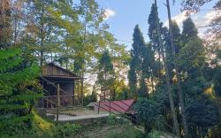 Orion Retreat, Darjeeling