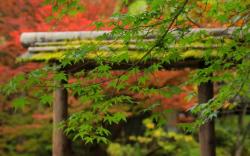 Nikko Hoshinoyado Hotel