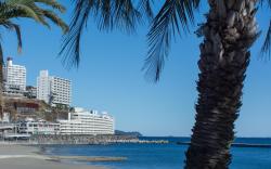 Wisterian Life Club Atami