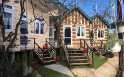 Pine Tree Homestay